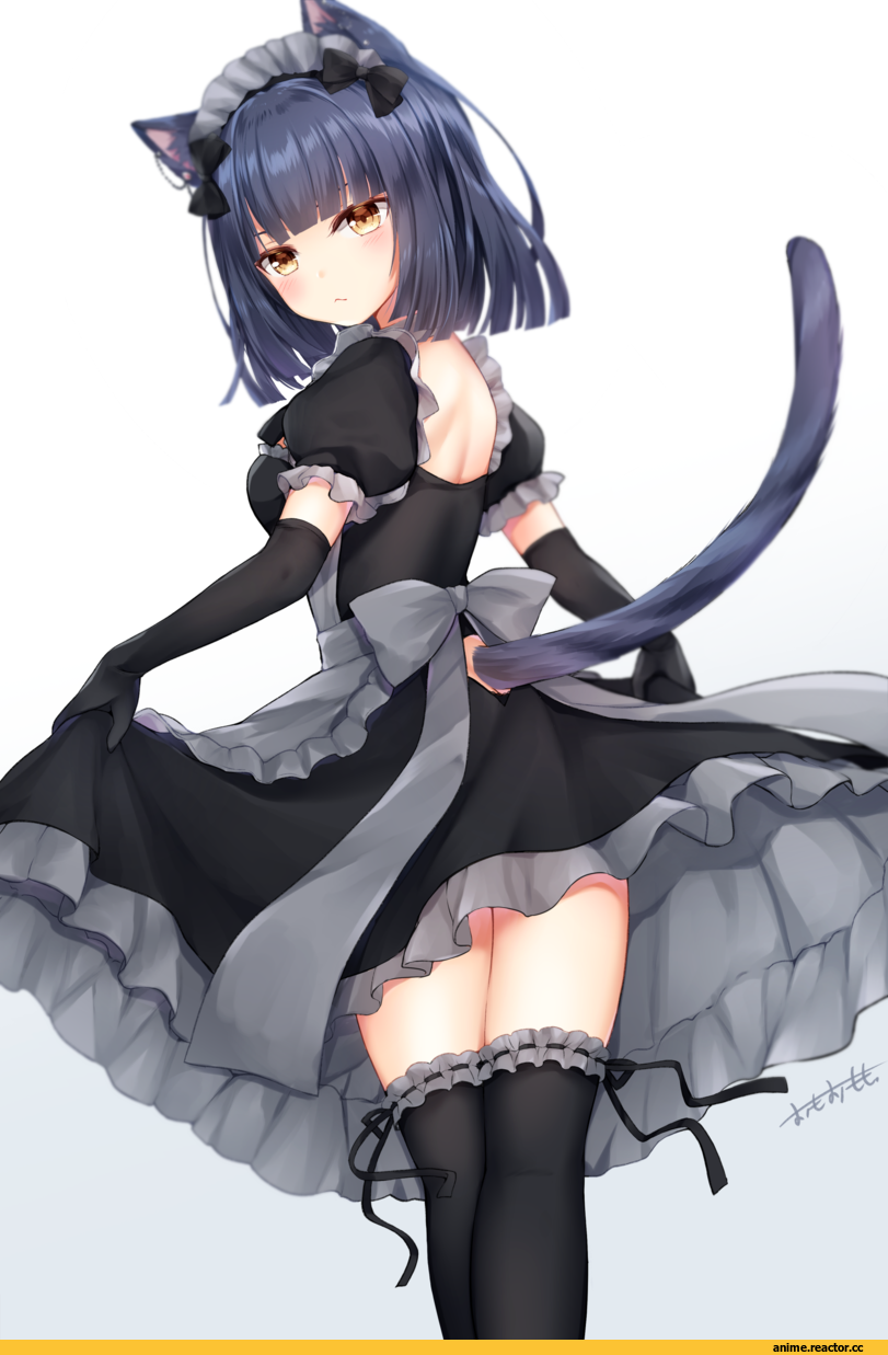 AO, neko, Animal Ears, Maid, Anime Art, artist, omoomomo, Anime