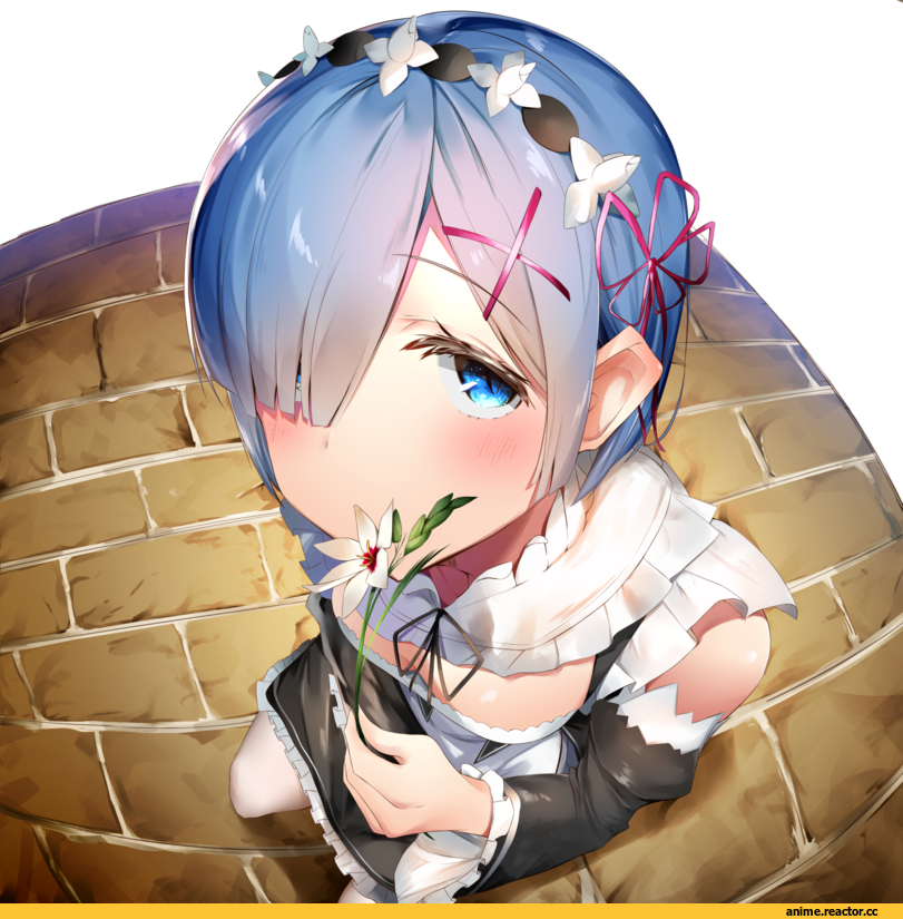 Rem (re zero), Re Zero Kara Hajimeru Isekai Seikatsu, tsukimineko, Anime