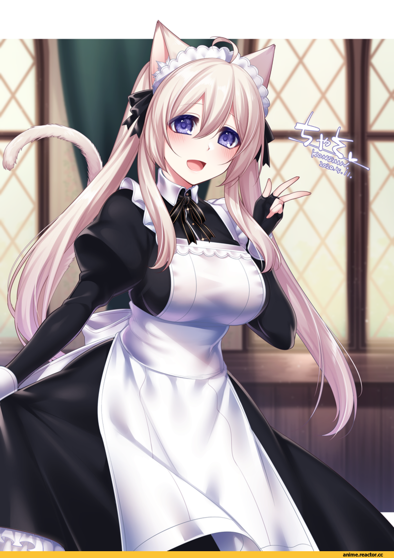 Animal Ears, Maid, Konshin, AO, Anime