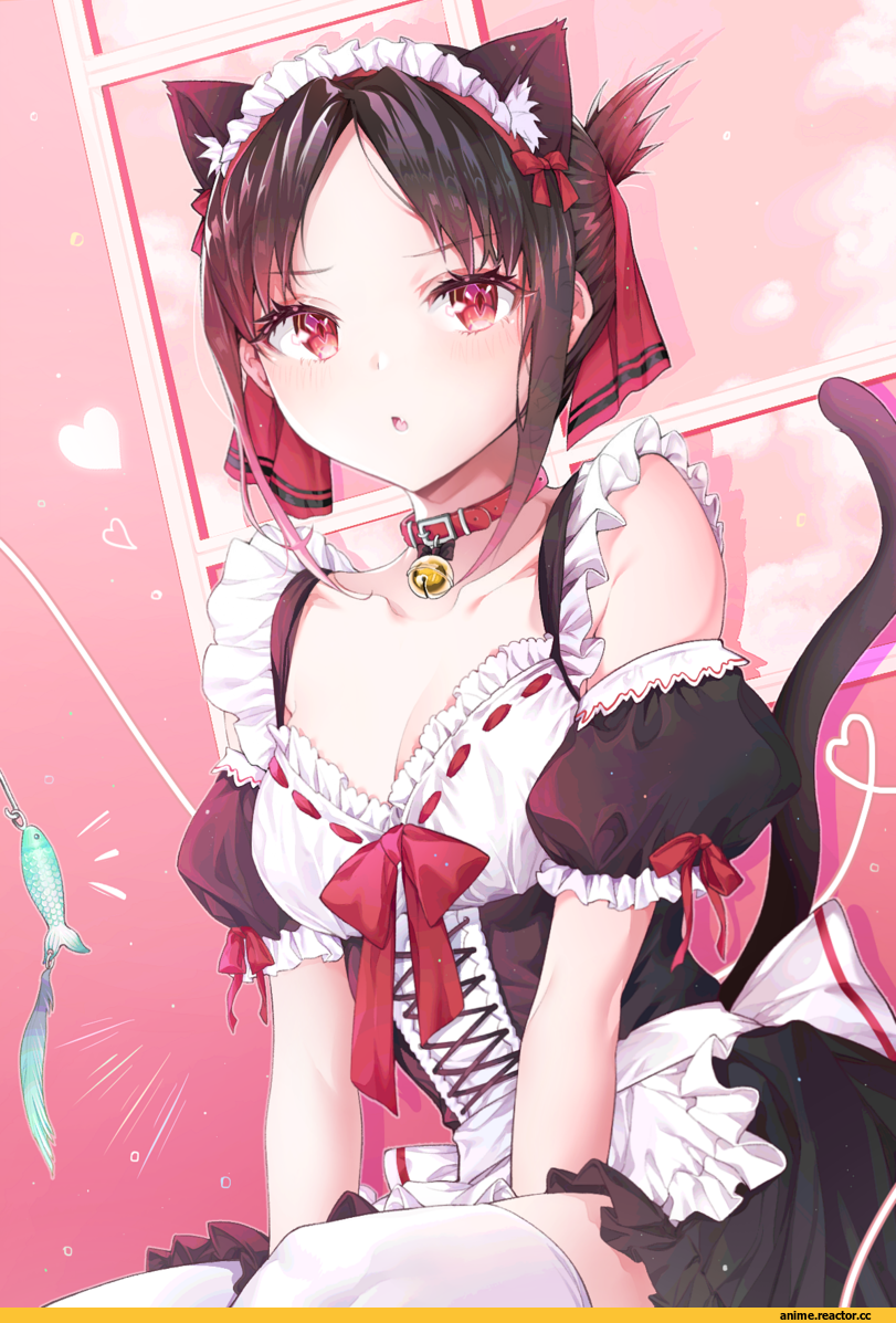 Shinomiya Kaguya, kaguya-sama wa kokurasetai ~tensai-tachi no renai zunousen~, nekomimi, Animal Ears, Maid, cpqm, Anime