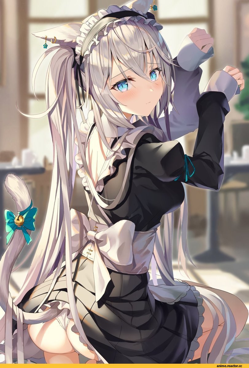 AO, Anime Ero Pantsu, Anime Ero, oshiri, neko, Animal Ears, Maid, rin yuu, Anime Art, artist, Anime