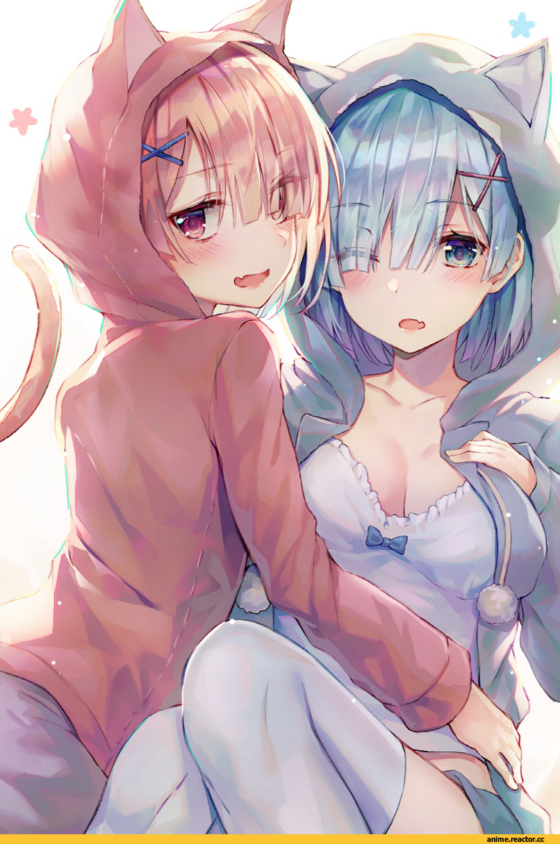 Ram (Re Zero), Re Zero Kara Hajimeru Isekai Seikatsu, Rem (re zero), nekomimi, Animal Ears, huwali (dnwls3010), Anime Art, artist, Anime