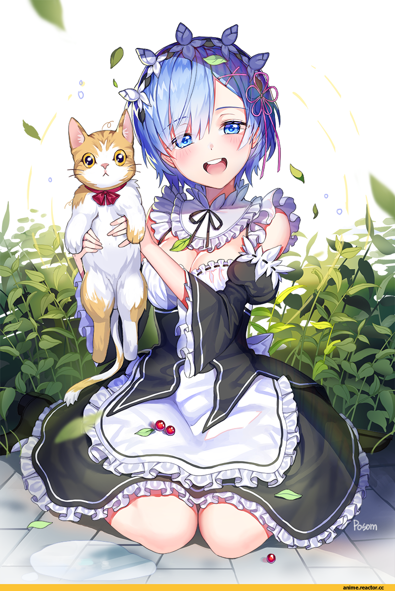 Rem (re zero), Re Zero Kara Hajimeru Isekai Seikatsu, Renyuel, Anime