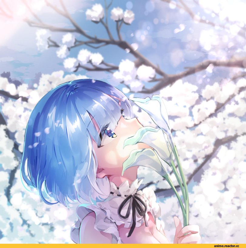 Rem (re zero), Re Zero Kara Hajimeru Isekai Seikatsu, melings (aot2846), Anime