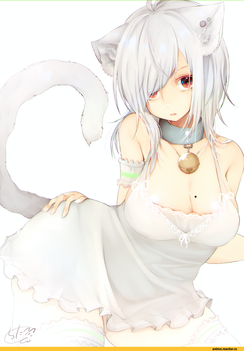 Chita (Ketchup), Anime Art, artist, Anime Ero Pantsu, Anime Ero, nekomimi, Animal Ears, AO, Maid, Anime
