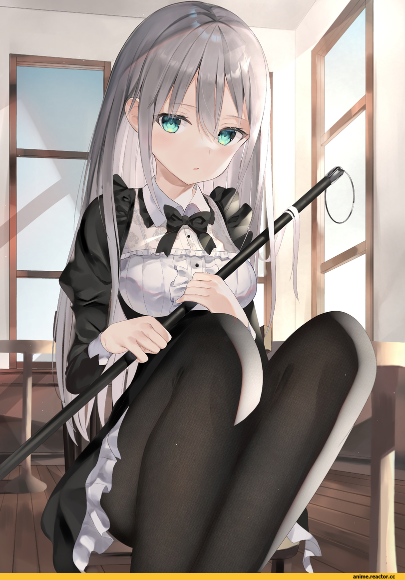 AO, Maid, zukan (db tyoutyo), Anime