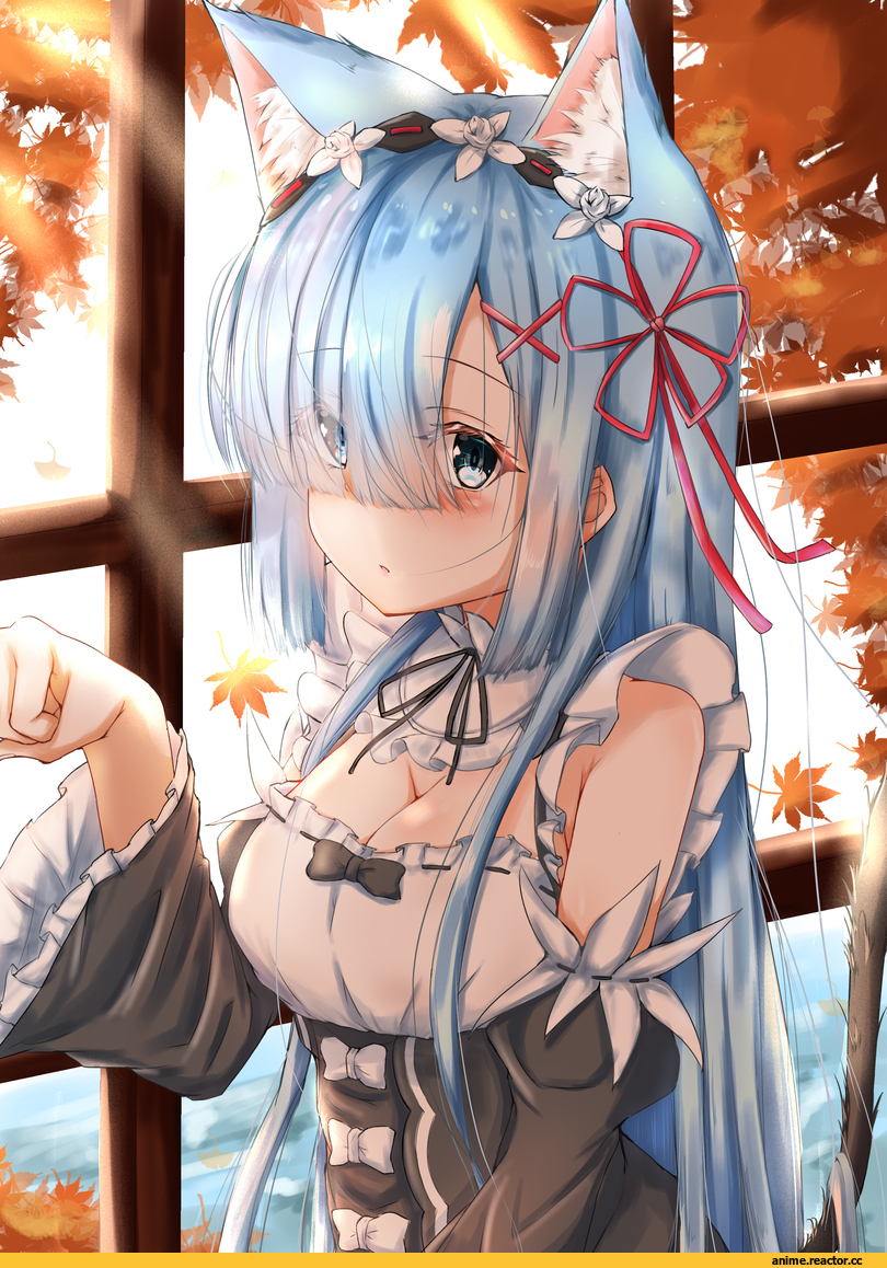 Rem (re zero), Re Zero Kara Hajimeru Isekai Seikatsu, kisaragi yaya, nekomimi, Animal Ears, Anime