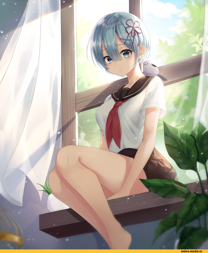 Re Zero Kara Hajimeru Isekai Seikatsu, Rem (re zero), dani (daniel), Anime