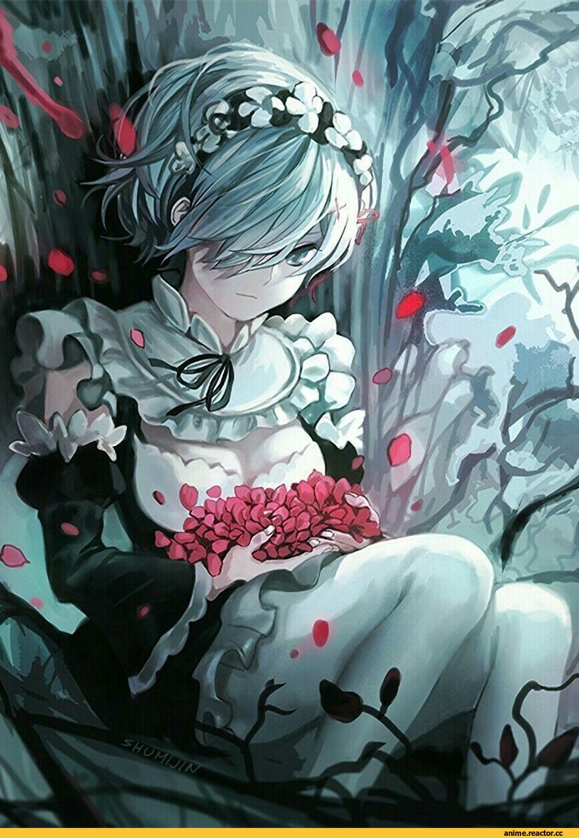 Rem (re zero), Re Zero Kara Hajimeru Isekai Seikatsu, Anime
