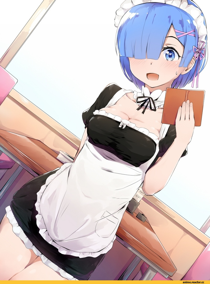 Rem (re zero), Re Zero Kara Hajimeru Isekai Seikatsu, Anime